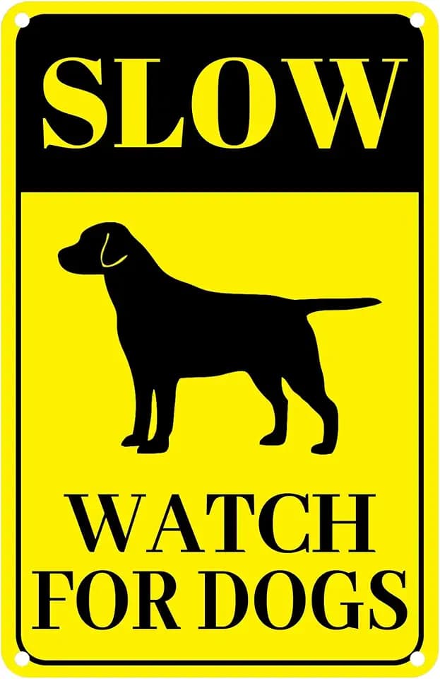 Slow Watch For Dogs Sign 8 x 12 Inches Slow Down Dogs at Play Signs Metal Reflective Rust Weatherproof Fade Resistant UV Protected Durable Ink Easy Mounting Indoor Outdoor Use