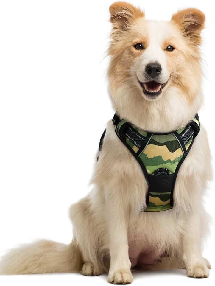 rabbitgoo Dog Harness, No Pull Medium Sized with 2 Leash Clips, Pet Vest