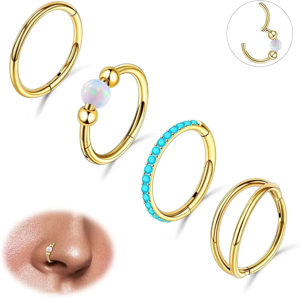 4 PCS 16G 18G 20G Nose Rings Hoops Stainless Steel Earrings Tragus Septum Piercing CZ Clicker Ring Hinged Segment Lip Double Hoops 8MM/10MM