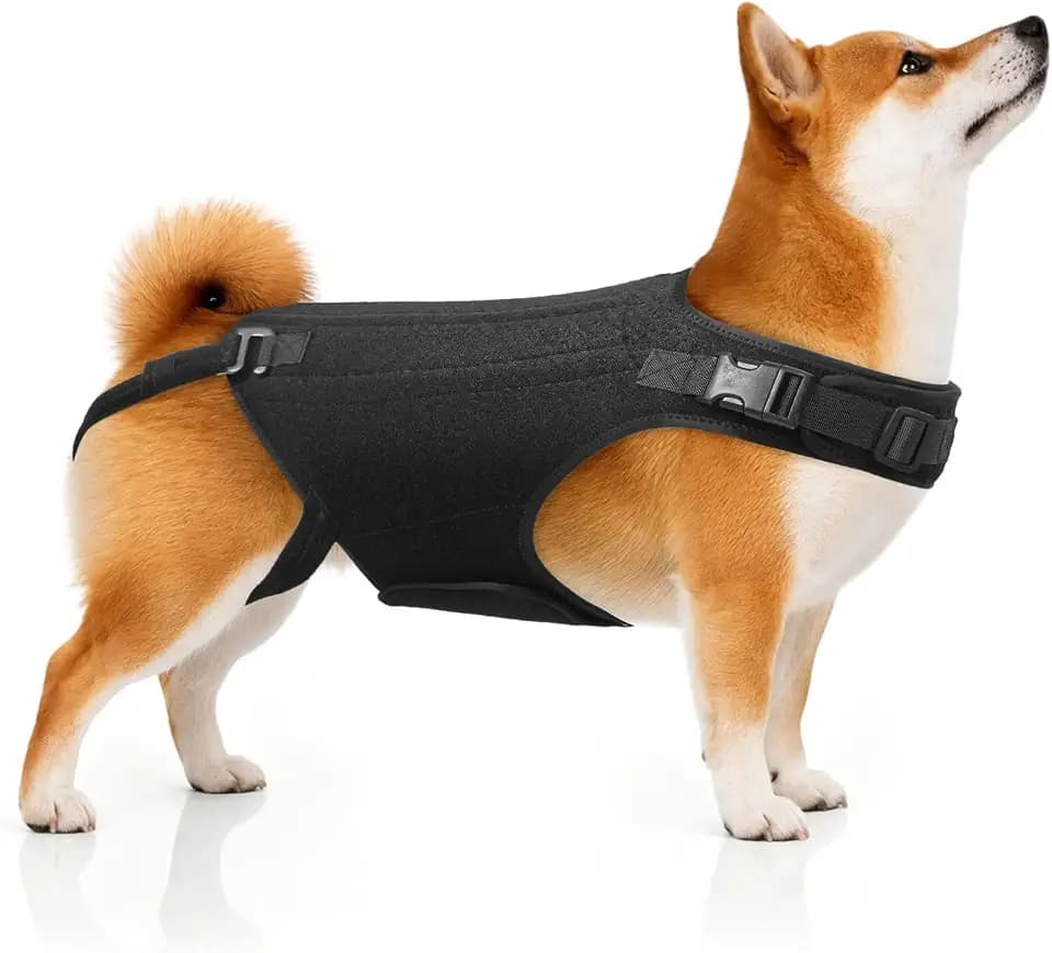 Dog Back Brace for IVDD, Spine Support, Pain Relief & Recovery(Black,M)