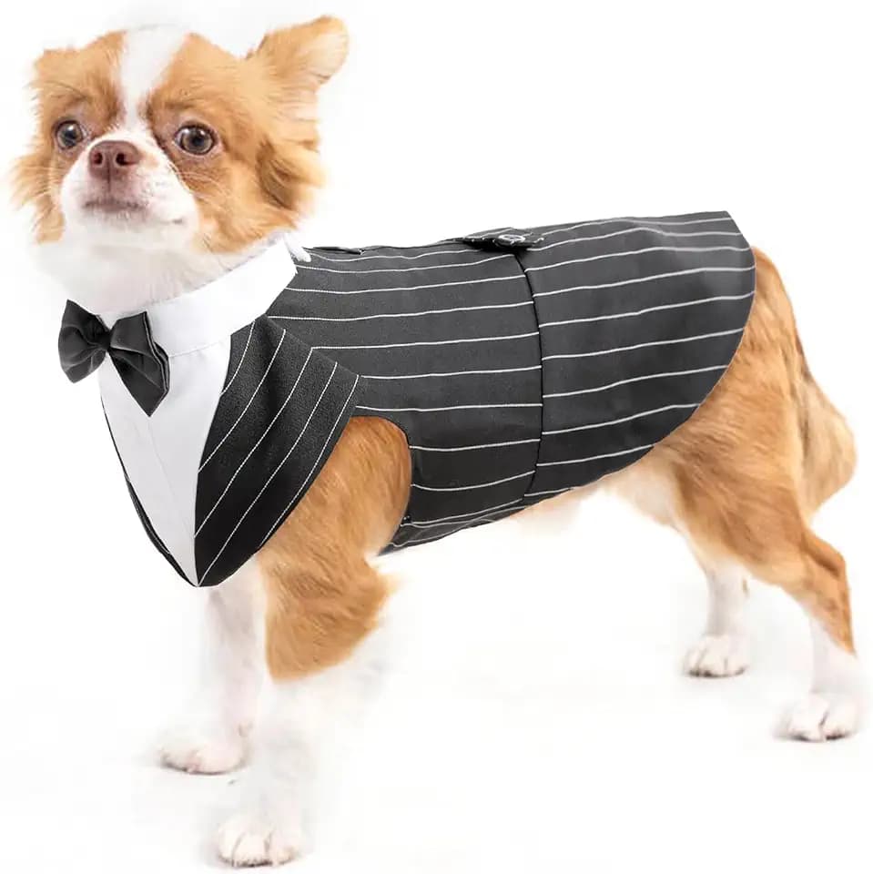 Hund Smoking Anzug, Hundeanzug mit Fliege Kostüm Gestreifter Gentleman Hund Hochzeitsfeier Anzug Haustier Kleidung Shirt formeller Anzug für Puppy Hunde(Streifen, S)