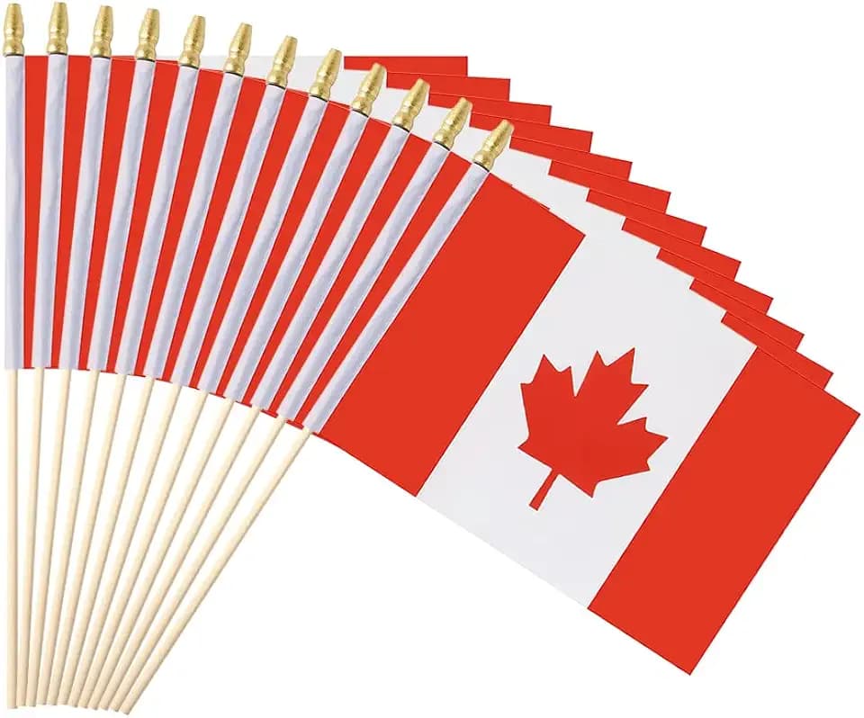 25Pack Small Canada Flag Handheld Mini Canadian Flag on Stick 5x8 Inch