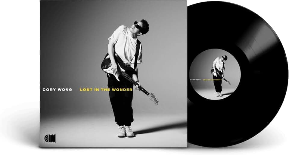 Lost in the Wonder [Vinyl LP]