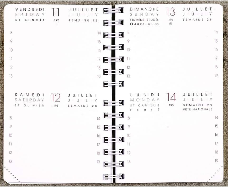Moderne Agenda – INT 83.13/2-1 Nachfüllpack für Tageskalender von Januar 2024 bis Dezember 2024 – Format 8 x 13 cm
