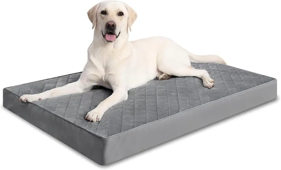 NUPIDA Orthopedic Large Dog Bed for Crate with Washable Cover, 35x22