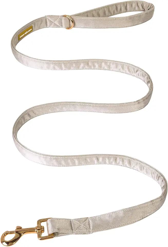 Unique style paws Seiden-Hundeleine Strapazierfähige Hundeleinen mit geschweißtem D-Ring Komfortabler Griff für kleine mittelgroße Hunde