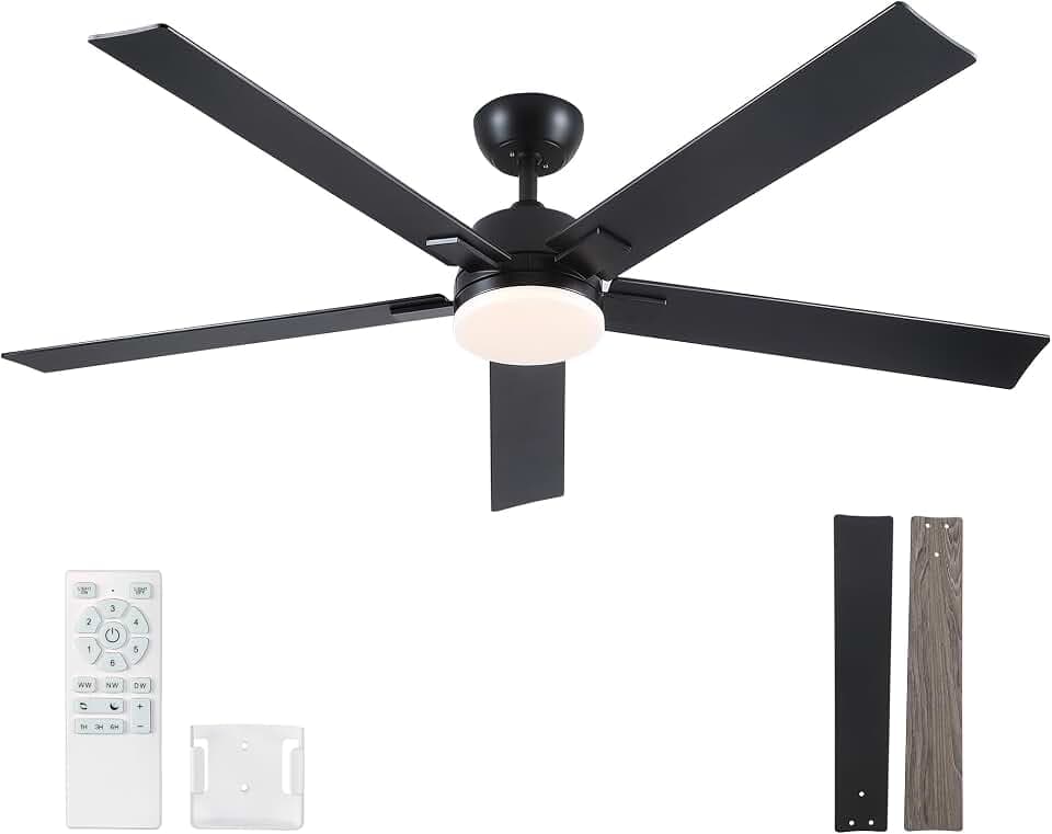 Rayqueen 60 Inch Black Ceiling Fans with Lights and Remote,Includes Downrod