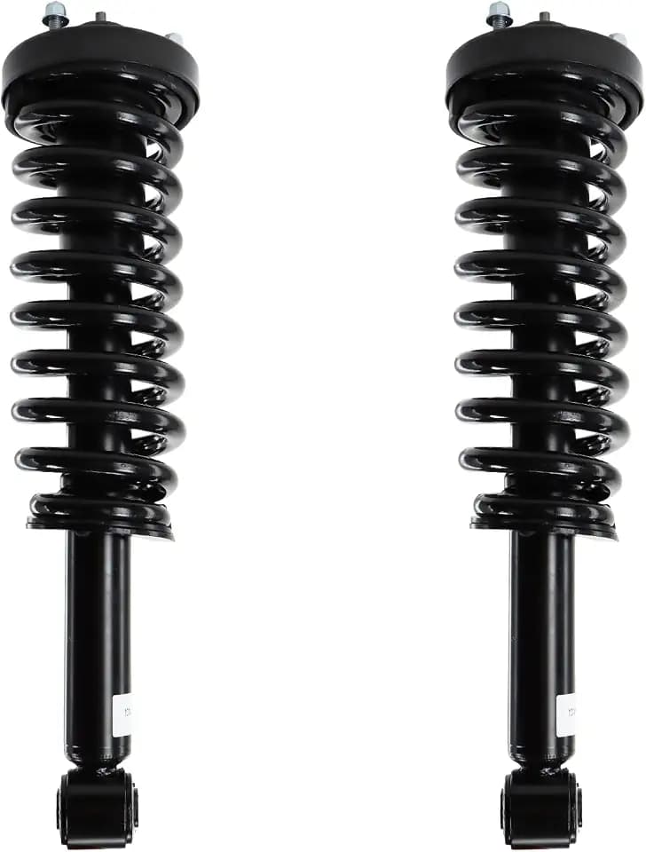 Front Shock Strut Coil Spring Assembly fitment for Ford F-150 2011-2013 4WD