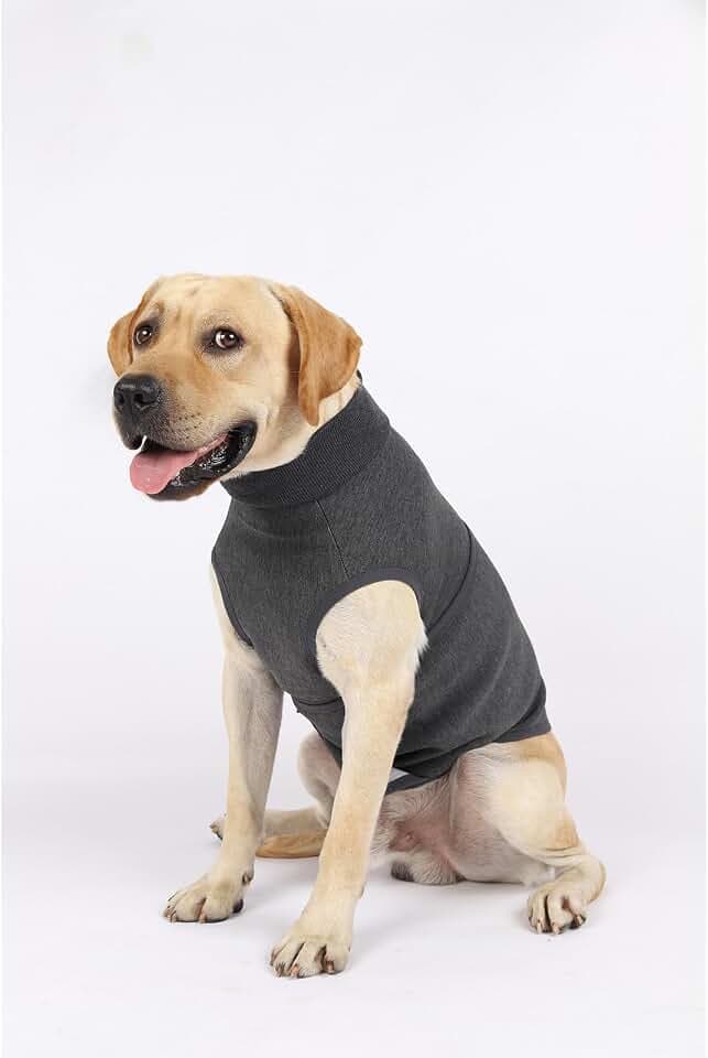 Dog Anxiety Calming Thunder Vest
