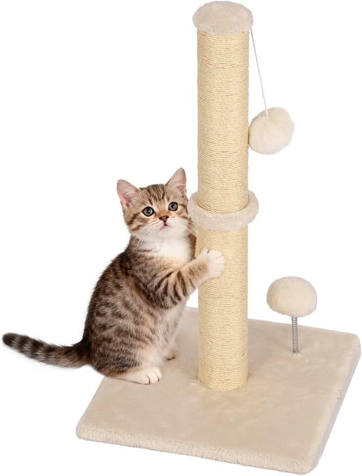 FDW 22 Inch Cat Scratching Post, Natural Sisal Cat Pole with Hanging Ball for Kittens & Small Indoor Cats, Sturdy Base, Beige