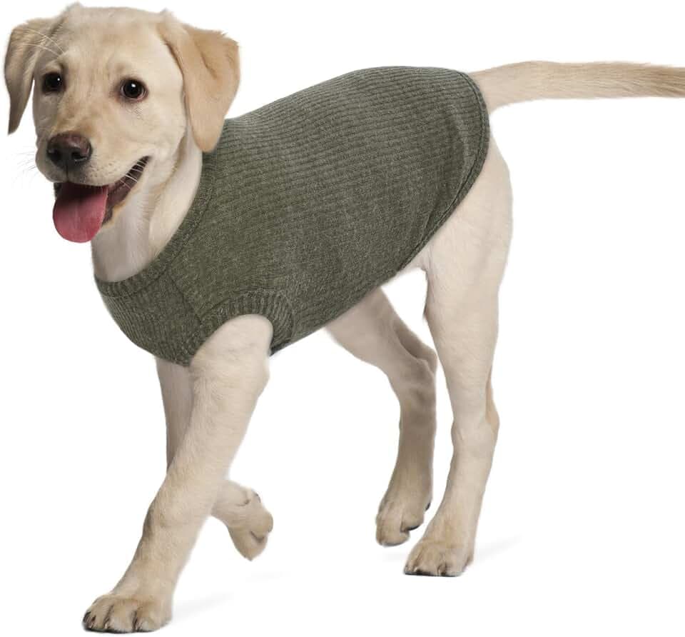 Hundeshirt für Mittelgroße Hunde | Sommer Hund T-Shirt Atmungsaktiv & Leicht | Weich & Bequem, Rundhals Design | Hunde Bekleidung | Cocker Spaniel, Border Collie (Grün XL)