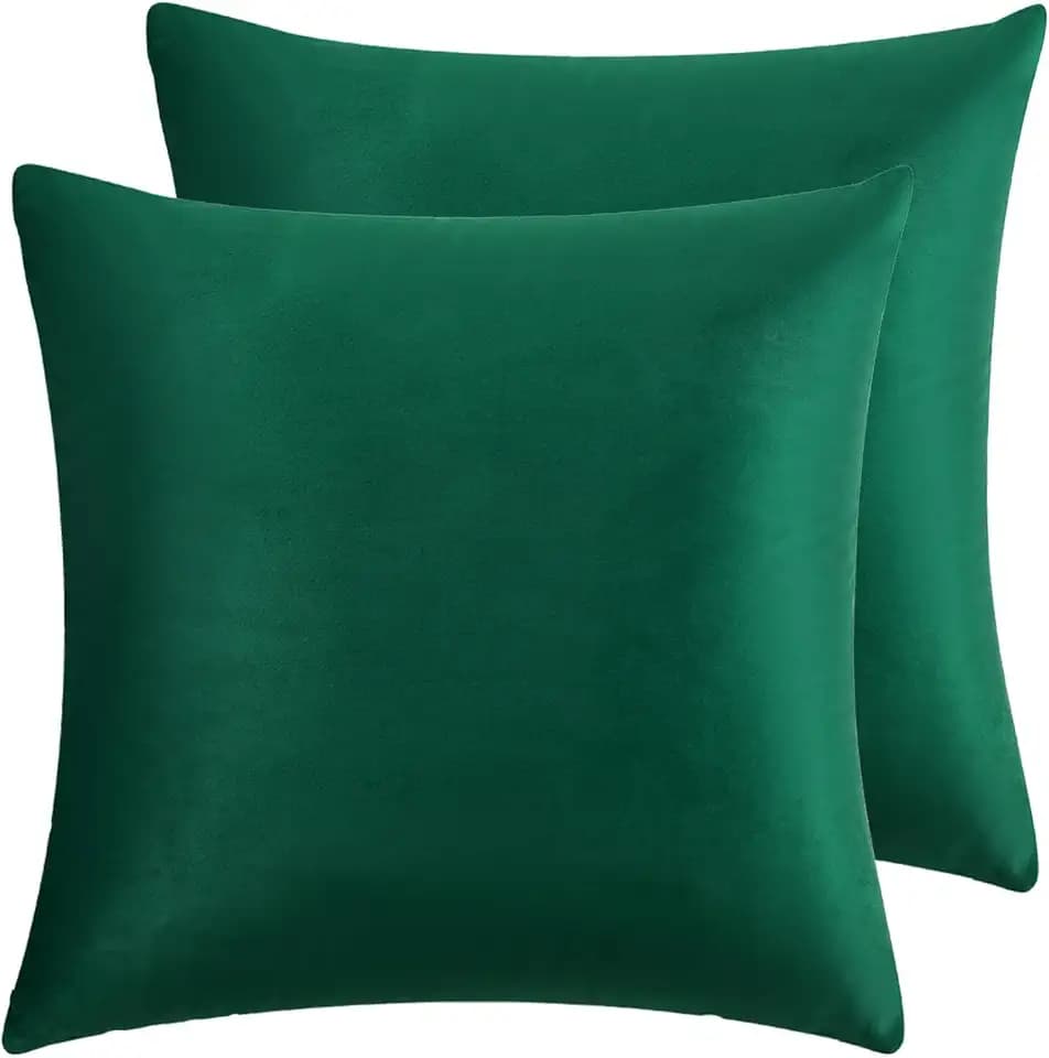 RainRoad Dark Green Throw Pillows Covers Set of 2 Velvet 20x20 Inch