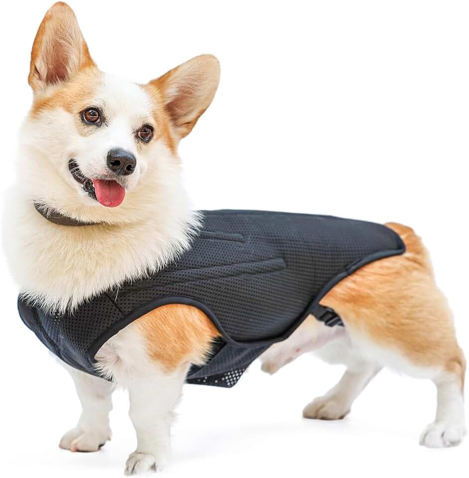 IVDD Back Brace for Dogs, Flexible Pet Dachshund Back Supporting Vest, Dog Back Bracer for Small Pet with Arthritis, Back Pain,Herniated Disc,Spinal Surgical Recovery (M)