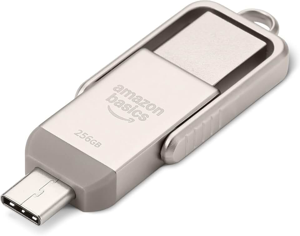 Amazon Basics USB-Speicherstick, USB-Stick mit zwei Anschlüssen (USB-C und USB-A), 256GB, Champagner-Silber