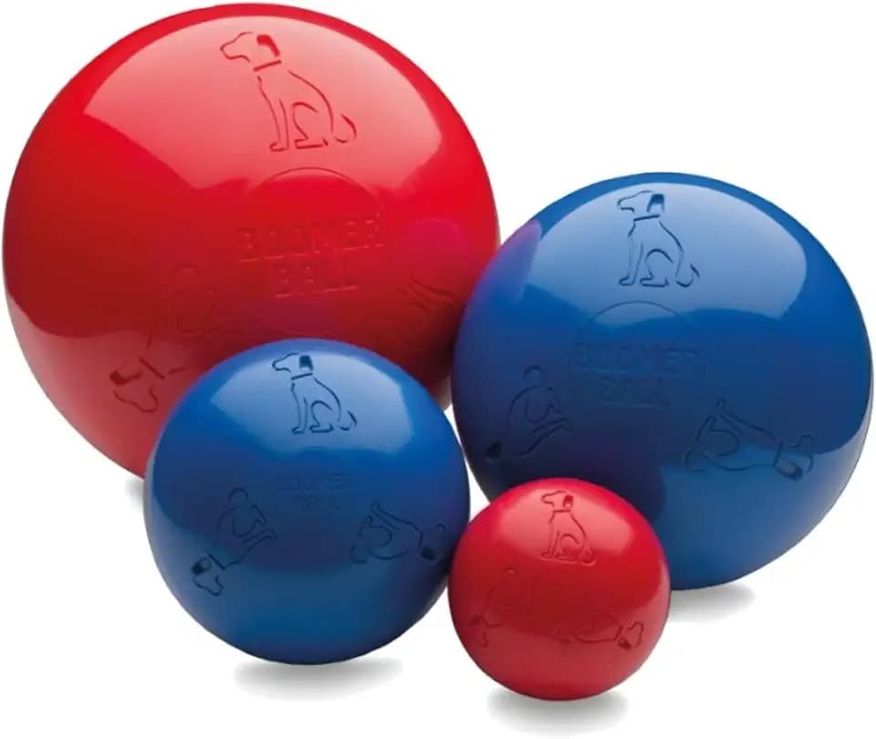 Company of Animals Boomer Ball | 15 cm | Blau oder Rot