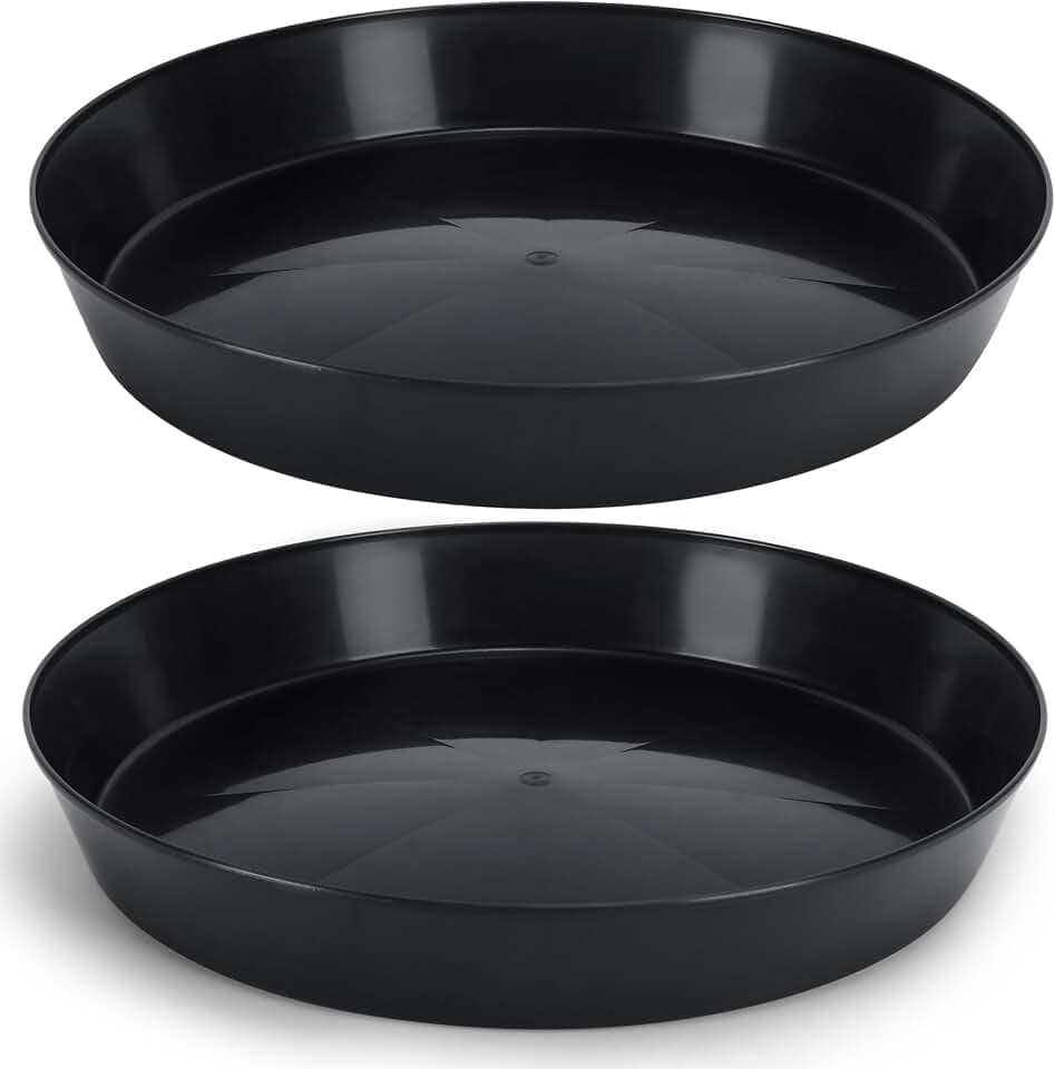 21in Plant Saucer, Black, Case of 2