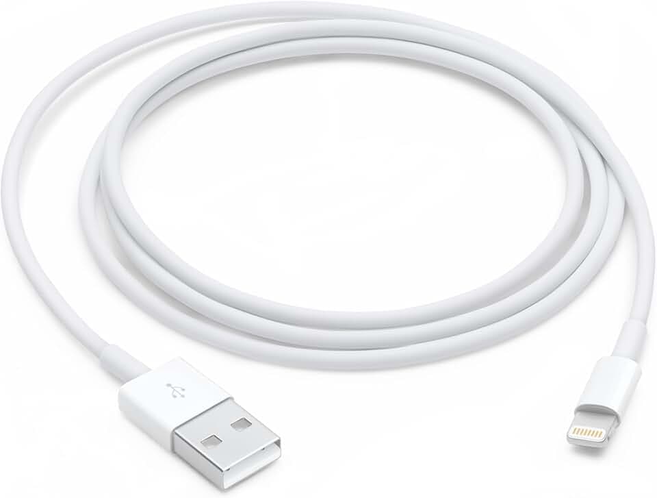 Apple Lightning auf USB Kabel (1 m) 