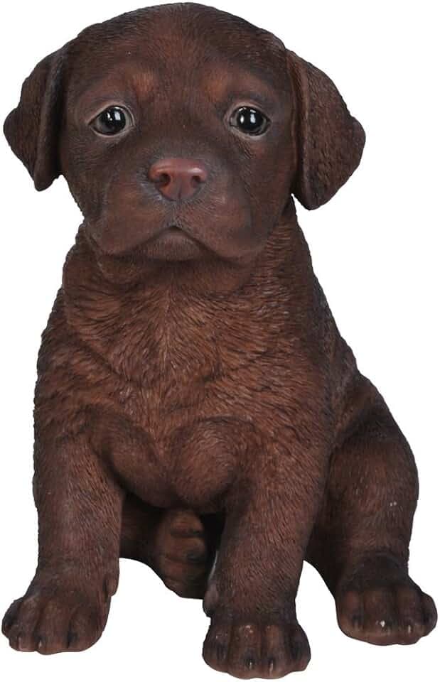 hi-line Geschenk LTD Labrador Puppy Statue, Schokolade Braun