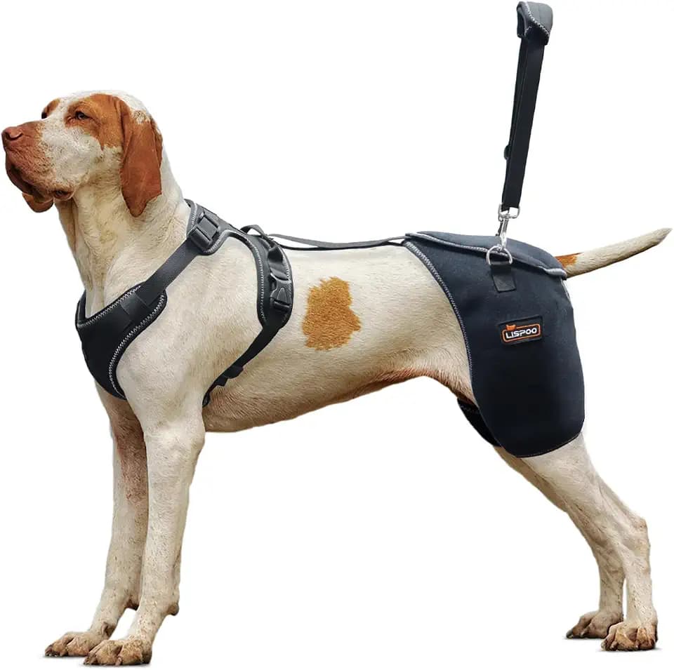 Dog Hip Support Brace-Adjustable Dog Leg Brace for Hip Dysplasia-XL