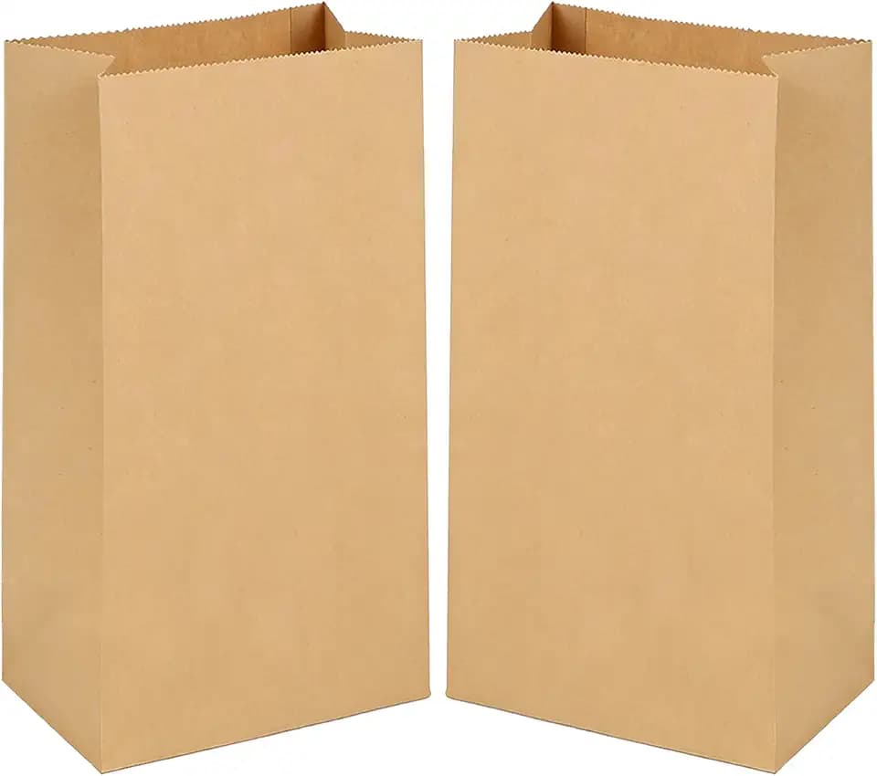 100 Stück Papiertüten 13x8x24cm Braune Tüten Papier Kraftpapier Tüten Geschenk Papier für Weihnachten Hochzeit Geburtstagsparty Kindergeburtstag