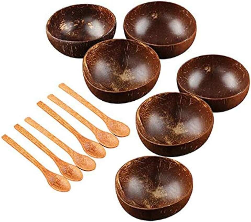 Kokosnuss-Schalen-Set handgefertigt Kokosnussschale Geschirr Holz Löffel Dessert Obst Salat Rührschüssel Reis Ramen Schüssel 12 Stück
