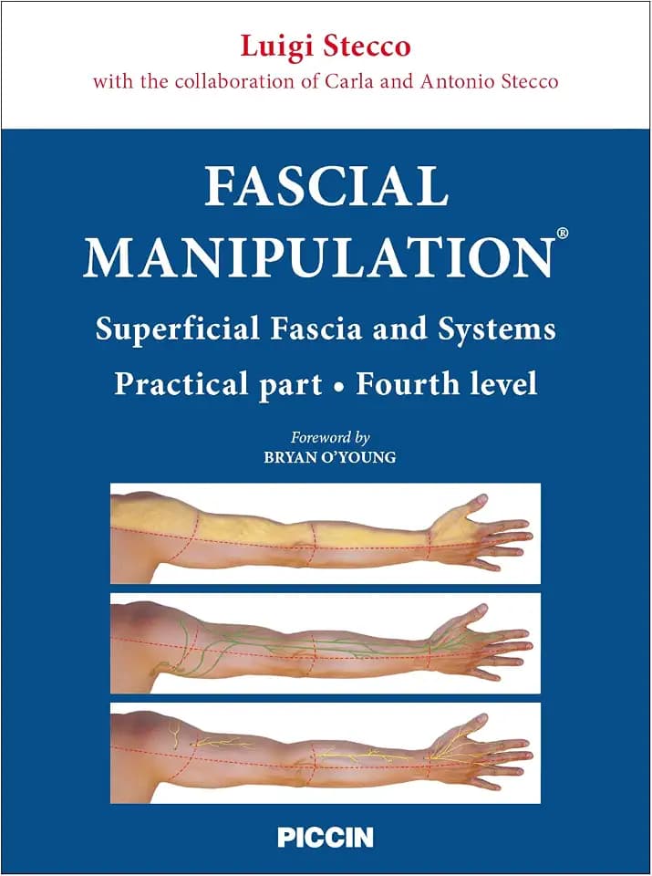 Fascial manipulation. Superficial fascia and systems. Practical part-fourth level