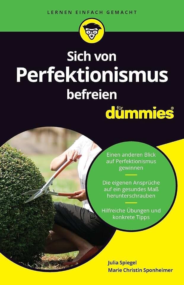 Sich von Perfektionismus befreien für Dummies