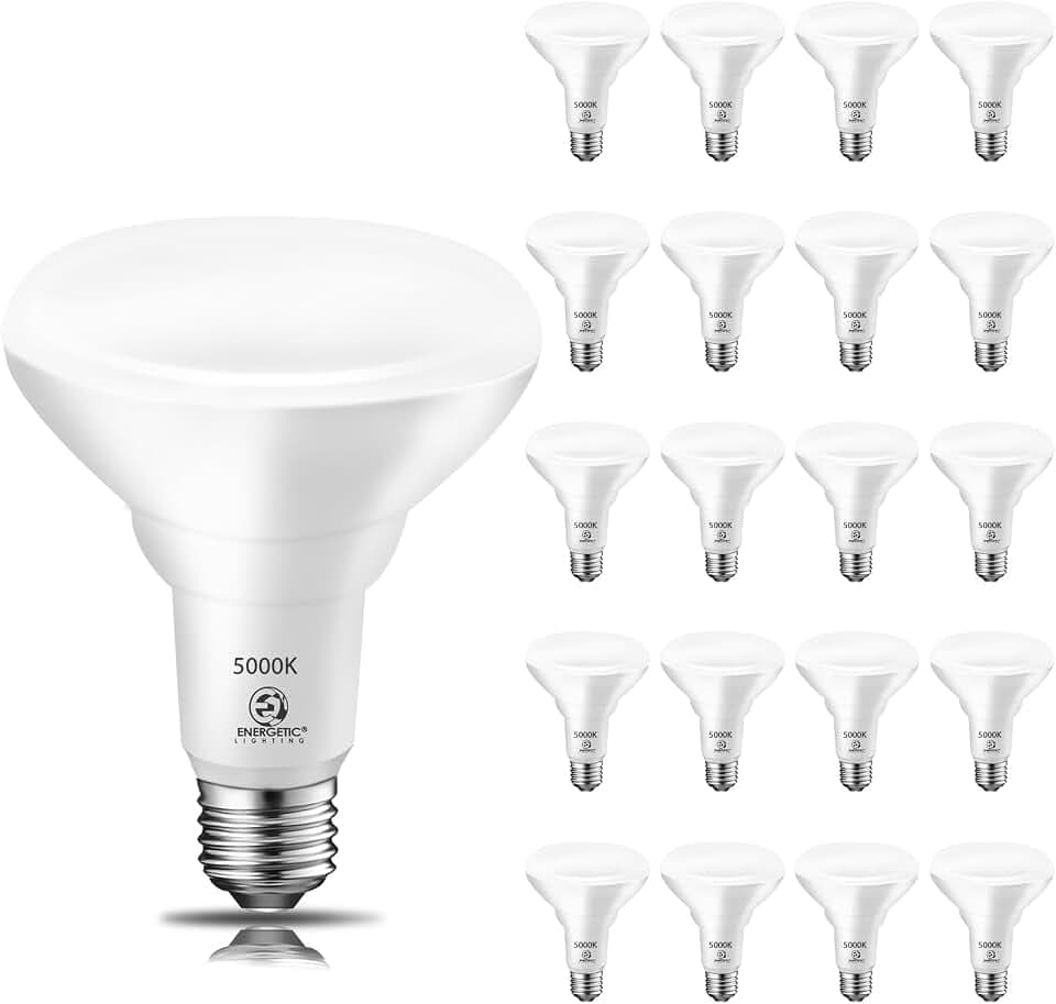 Energetic 20 Pack 650 Lumens 65W BR30 LED Recessed Light Bulb, 5000K