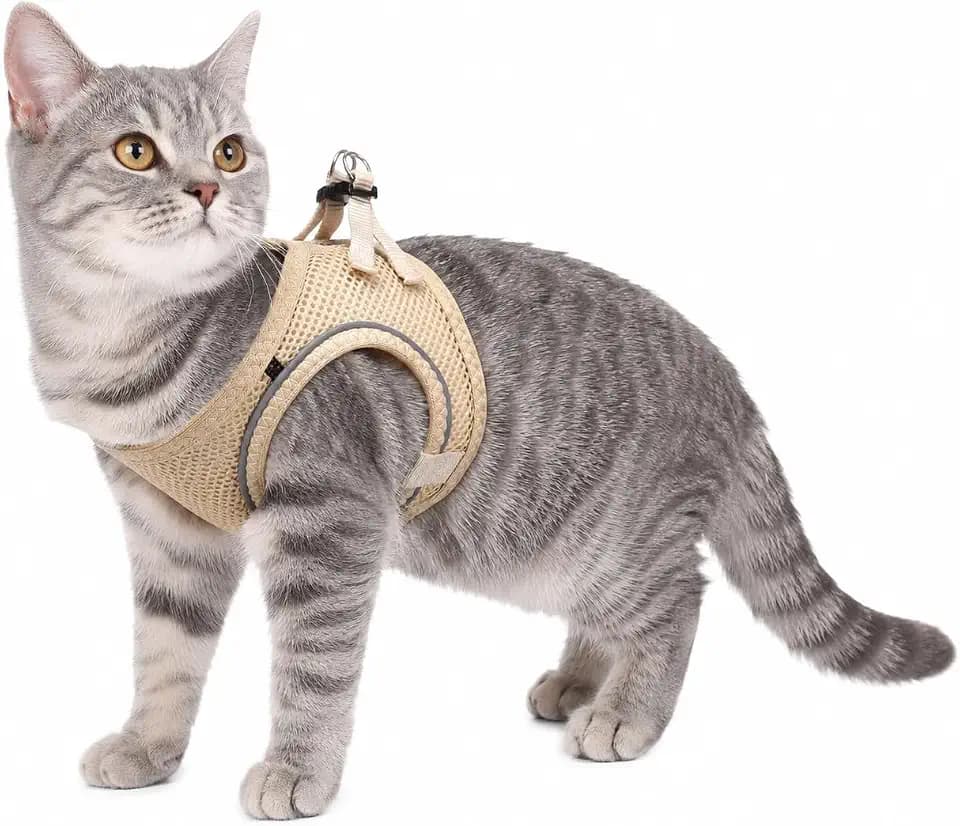 katzengeschirr - Step&Go Berta beige S - 24-29 cm / 31-35 cm - Nylon mit atmungsaktivem mesh und reflektierenden Streifen