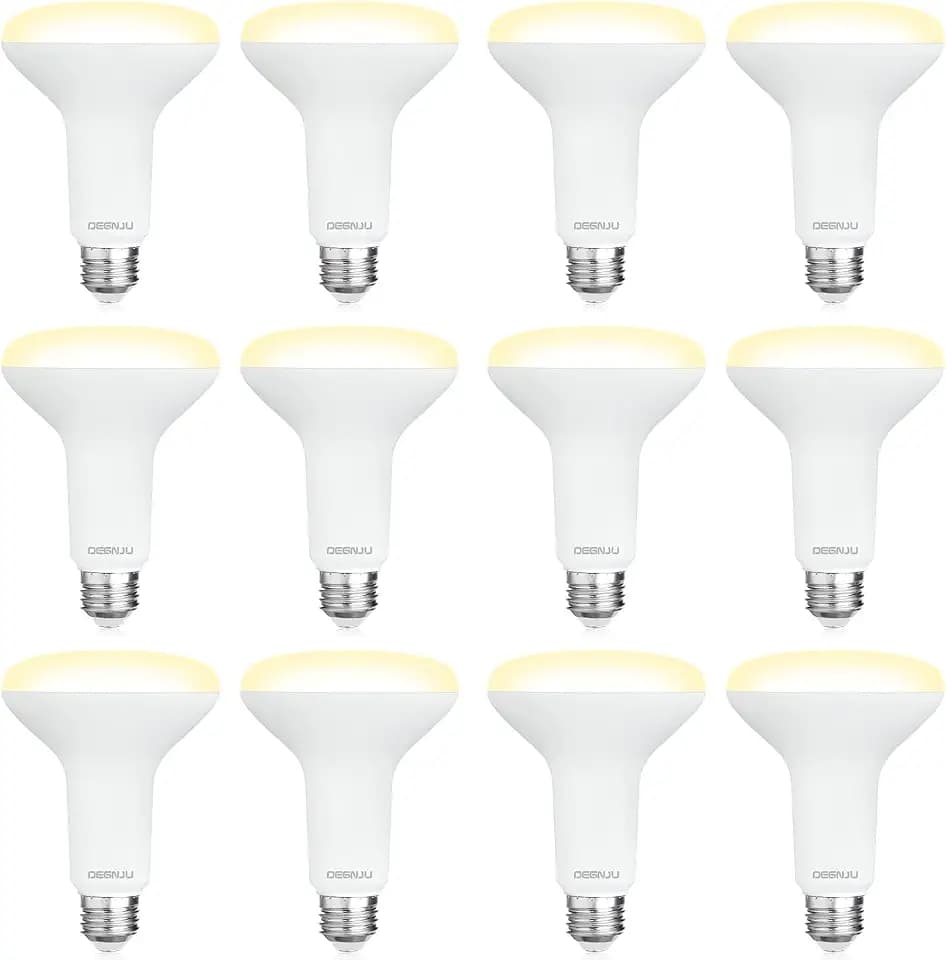 DEGNJU 12 Pack BR30 LED Recessed Light Bulb, Dimmable Indoor Flood Light Bulbs CRI80 7W Equivalent 65W 2700K Soft White 650 Lumens, 15000 Lifetime Hours E26 Base LED Can Light Bulb, Flicker-Free