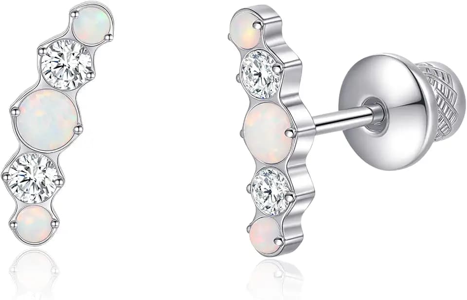 Limerencia Implant Grade Titanium Screw Back Earrings for Sensitive Ears