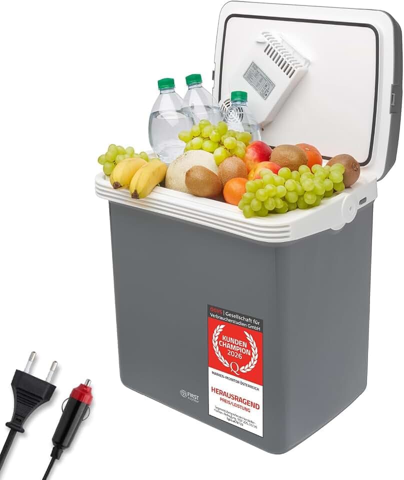TZS First Austria - Elektrische Kühlbox 32L - Kühl- & Wärmefunktion - 12V/230V für Auto & Steckdose - Thermoelektrisch & Leise - Camping & Reise - Grau