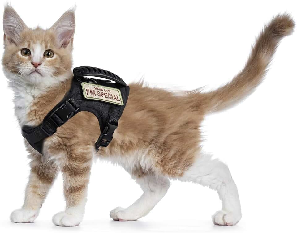 Taktisches Katzengeschirr zum Spazierengehen, ausbruchsicher, weiches Netzgewebe, verstellbare Haustierweste für große Katzen, kleine Hunde