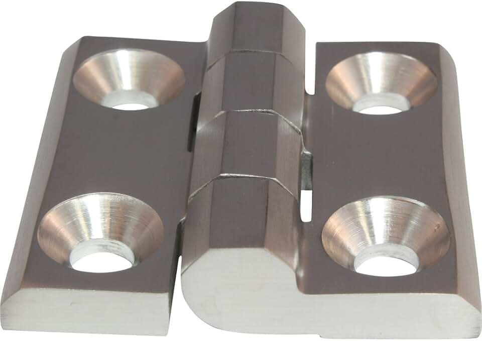 Scharnier Edelstahlscharnier Anschraubscharnier Edelstahl Inox 40 x 40 mm 270° AISI 316
