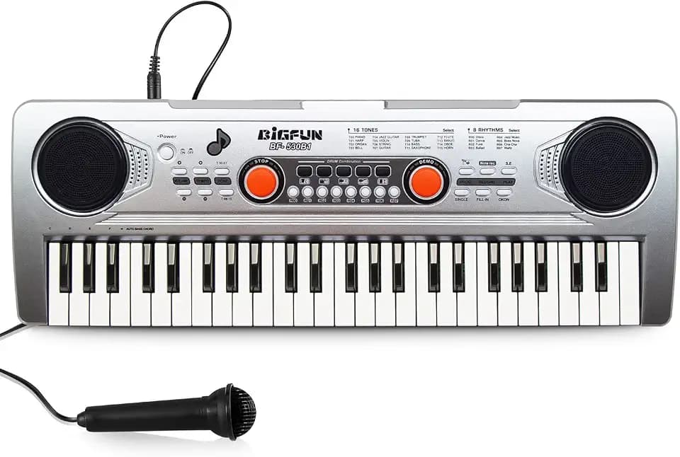 Raimy Electric Keyboard Piano for Kids, 49 Keys Portable Music Toy