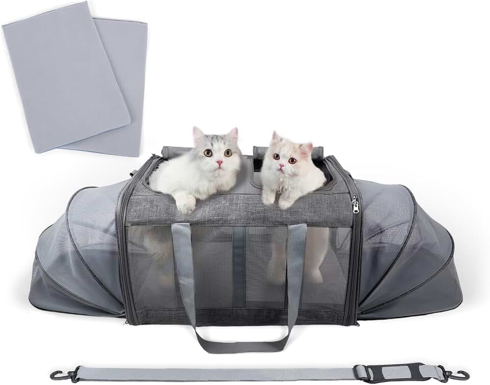 Katzentransportbox Transporttasche für 2 Katzen, Faltbarer Cat Carrier Hundebox, Erweiterbar Hundetransportbox Tragetasche Katze katzentasche bis 17kg/38lb
