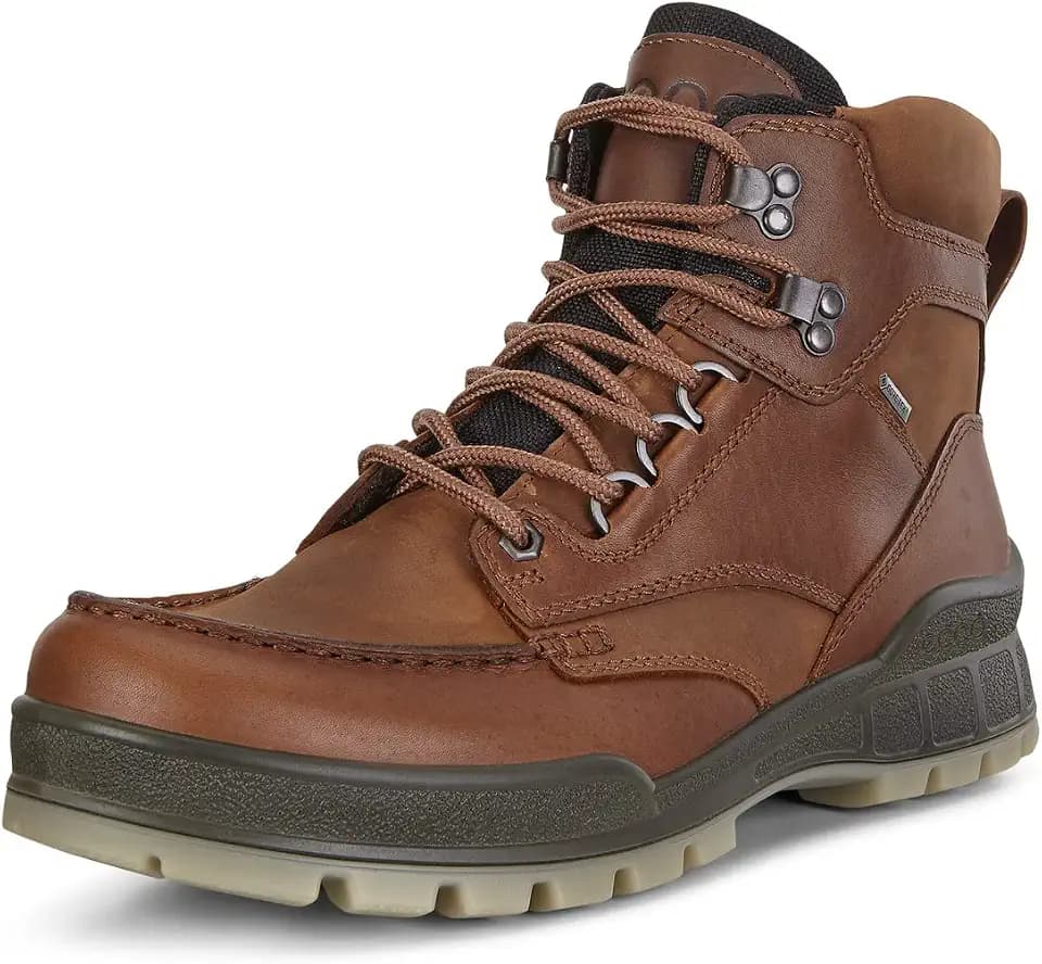 ECCO Men's Track 25 M Hiking Boot