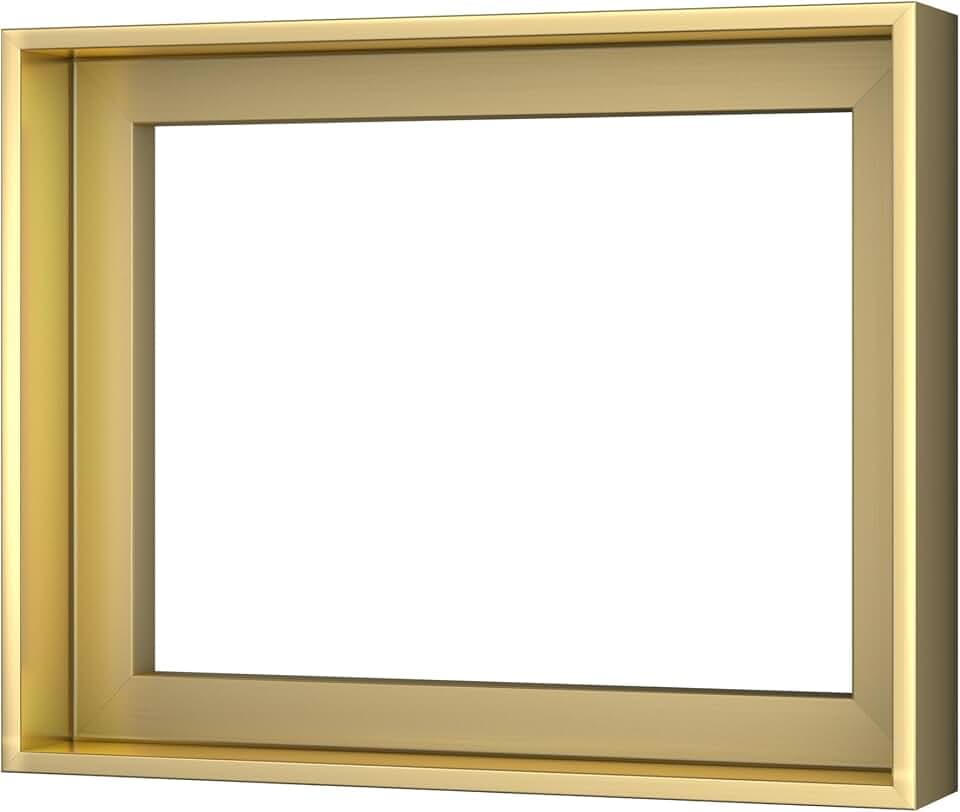 16x20 Champagne Gold Canvas Floater Frame for Stretched Art