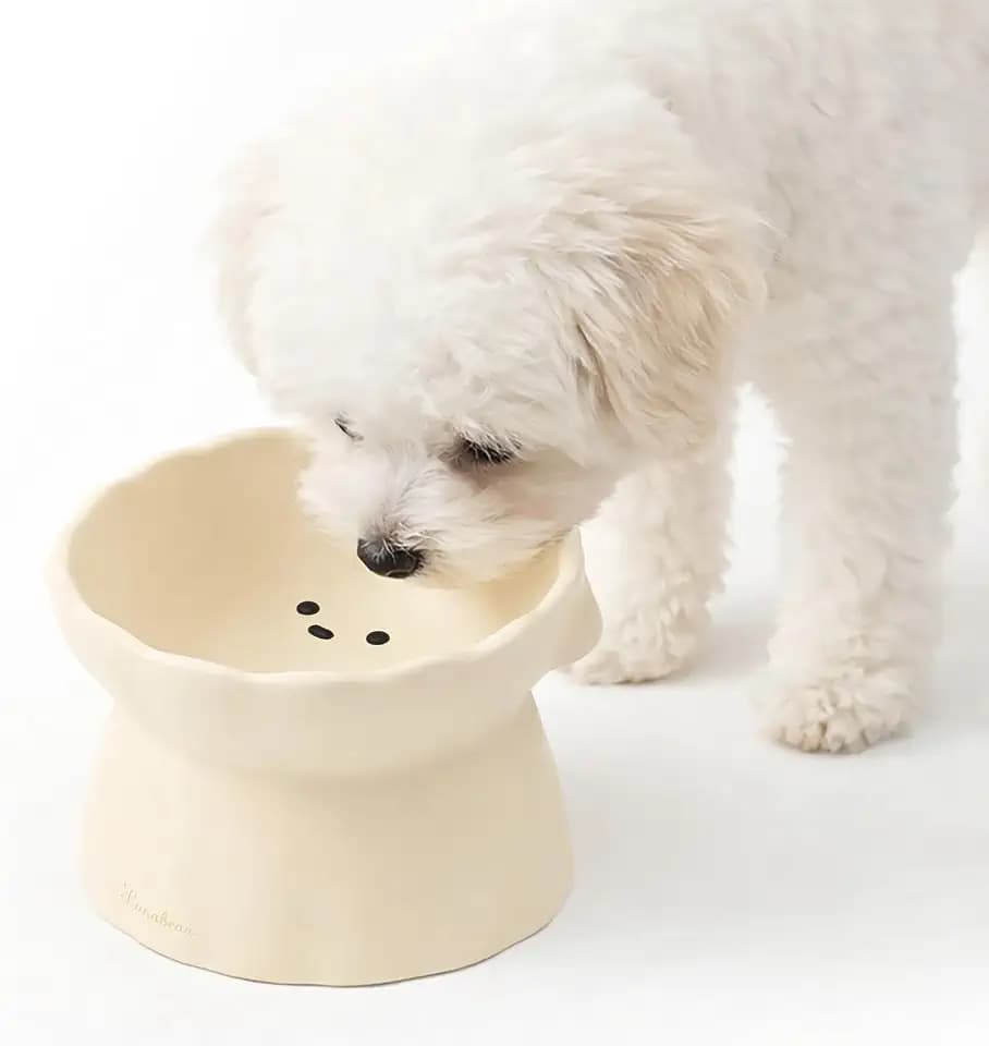 Elevated Dog Bowls, Raised Dog Bowl