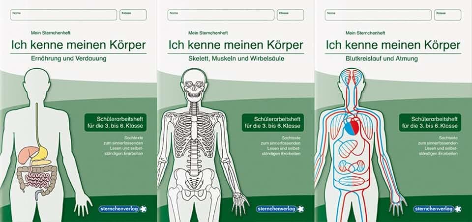 Ich kenne meinen Körper - 3 Arbeitshefte im Set: 3 Schülerarbeitshefte für die 3. bis 6. Klasse mit Sachtexten zum sinnerfassenden Lesen und selbstständigen Erarbeiten (Mein Sternchenheft)