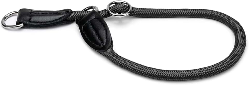 lionto Hundehalsband mit Zugstopp, Länge 30 cm, Dicke 0,8 cm, Schwarz