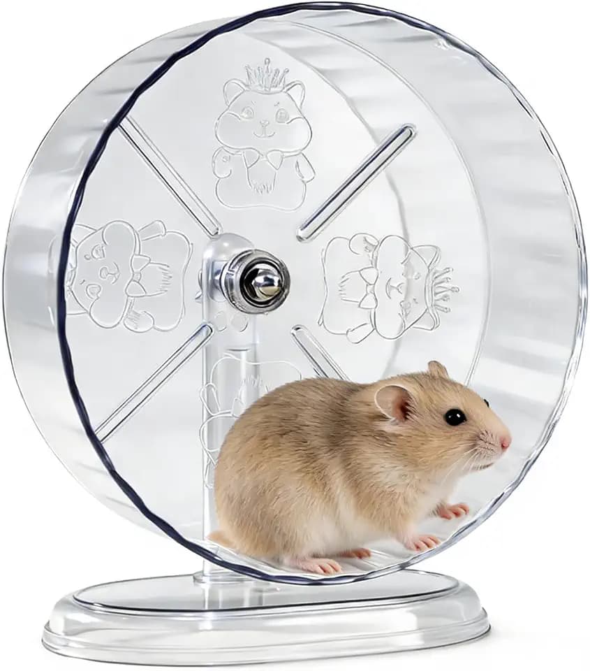 Hamsterrad, Ø24cm rutschfeste Laufräder Hamster Rad Super-leise Hamsterräder Ruhiges Rattenrad Höhenverstellbares Transparentes Laufrad für Zwerghamster Gerbils Mäuse Kleintiere