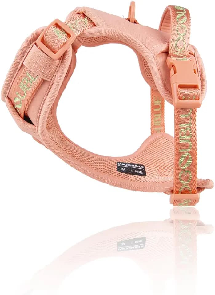 Escape Proof No Pull Dog Harness, Adjustable Vest with Handle & Dual Leash Rings, Soft Padded Mesh for Large Medium Small Dogs, Walking Training Outdoor Use