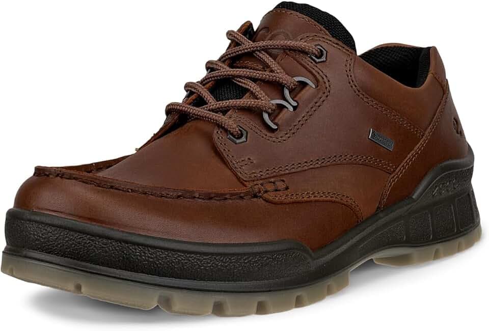 ECCO Sport Track 25 Low Gore-TEX Waterproof Hiking Shoe