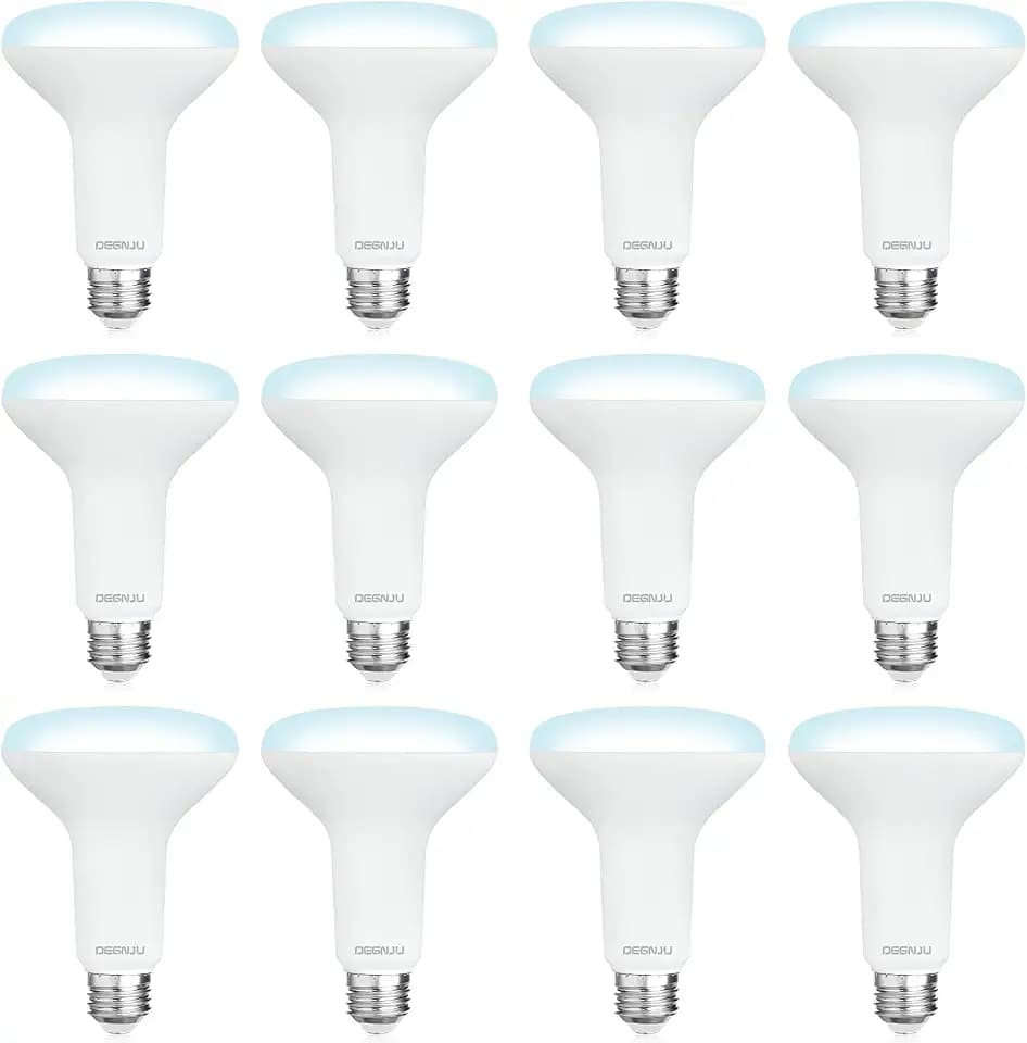 DEGNJU 12 Pack BR30 LED Recessed Light Bulb, Dimmable Indoor Flood Light Bulbs CRI80 7W Equivalent 65W 5000K Daylight 650 Lumens, 15000 Lifetime Hours E26 Base LED Can Light Bulb, Flicker-Free