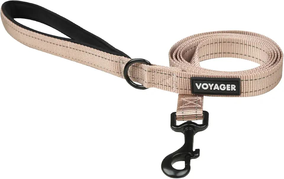 Best Pet Supplies Voyager Nylon Dog Leash - Khaki, Medium