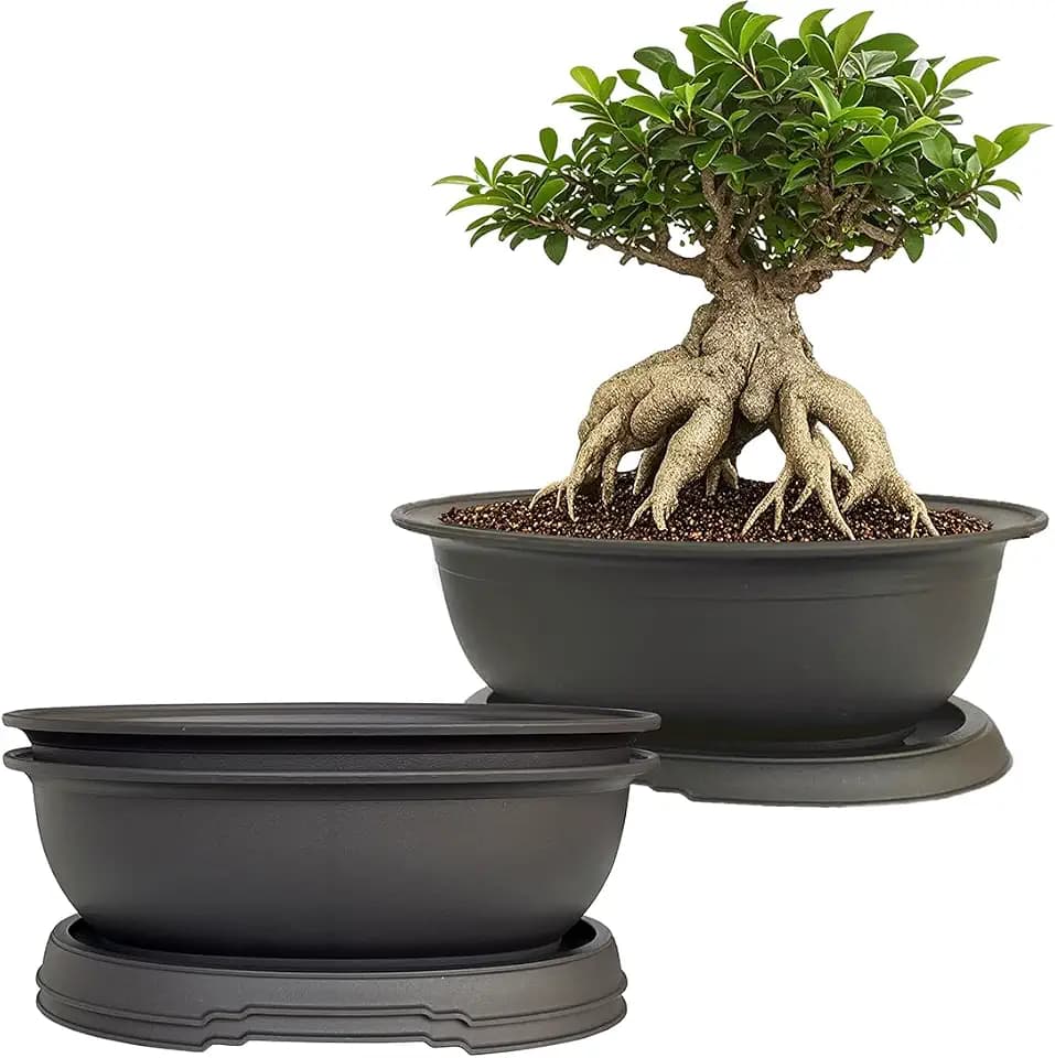 MUZHI 3 Pack Oval Bonsai Training Pot with Drainage Tray, Matte Finish Succulent Growing Pot for Home Garden Plant Outdoor Indoor Container (7.2" Medium)