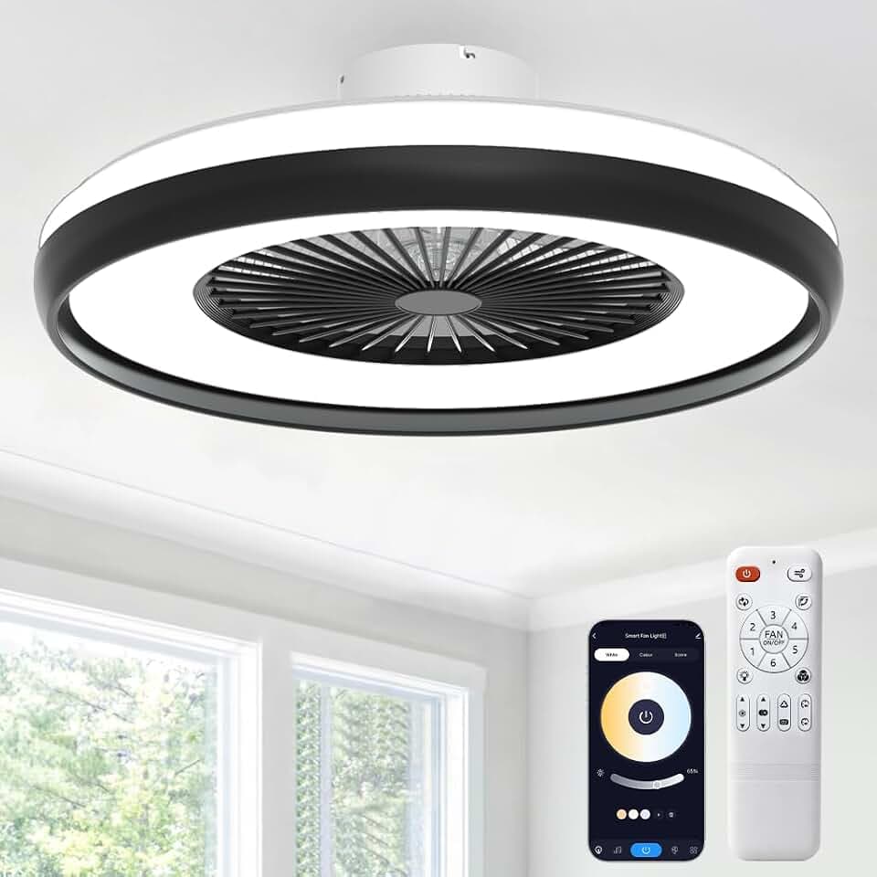 24” Bladeless Ceiling Fan with Light, Enclosed Ceiling Fan with Remote