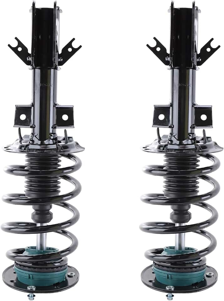 RAYTEN 272638 * 2 Front Suspension Strut and Coil Spring Assembly