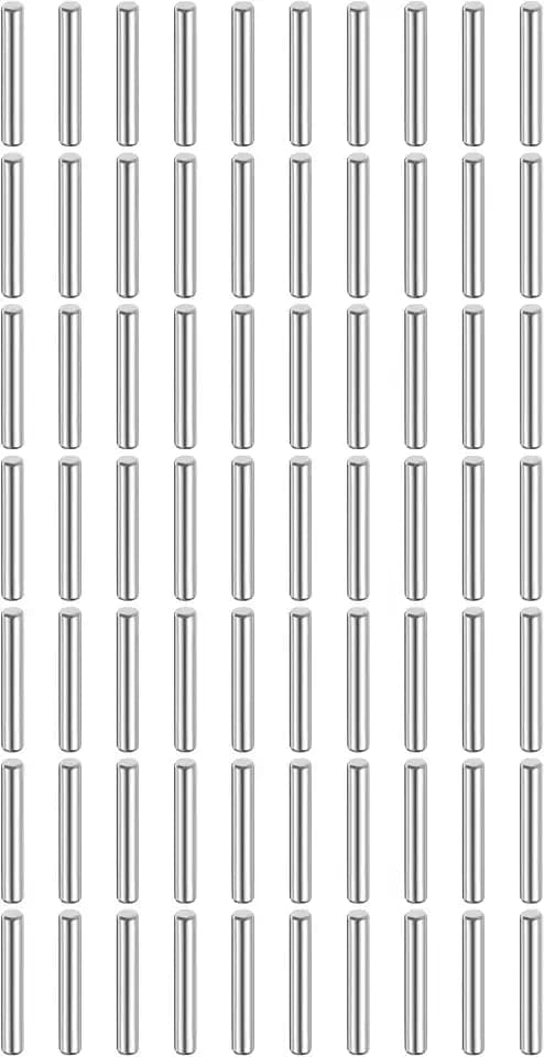 QUARKZMAN 80 Stück Zylinderstifte Rostfrei, 3 mm x 20 mm Spannstift Passstift, 316L Metallstifte Edelstahl, Dübelstifte Bolzen Metall für DIY, Möbel, Bastelprojekte